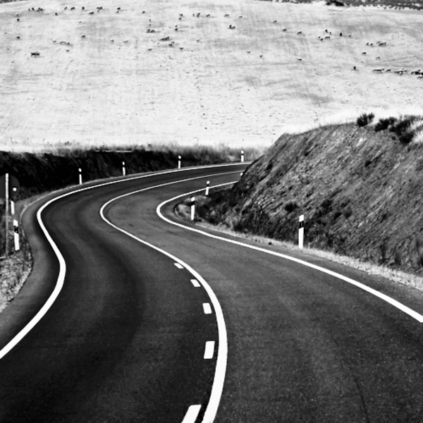 Desde el Camión en Blanco y Negro