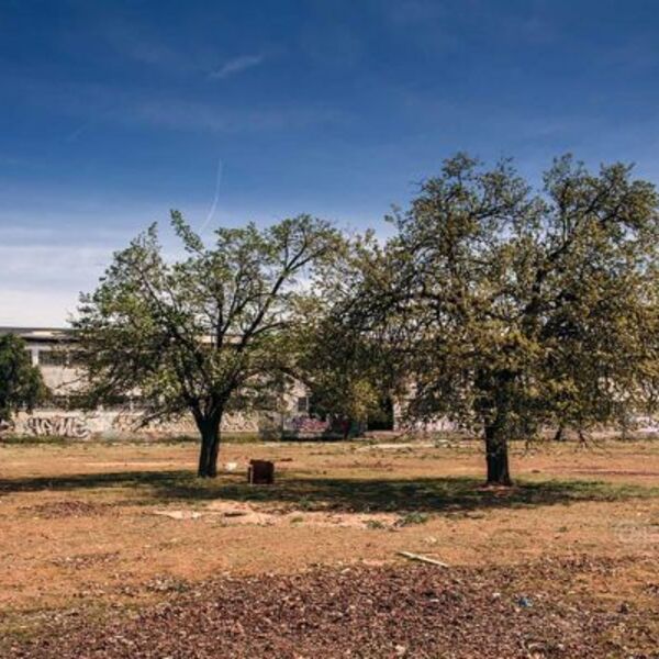 Antigua Cárcel de Herrera de la Macha. Abandono y Olvido.